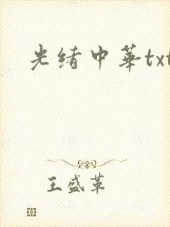 光绪中华txt