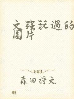 文强玩过的女人图片