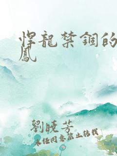 悍龙禁锢的小野凤