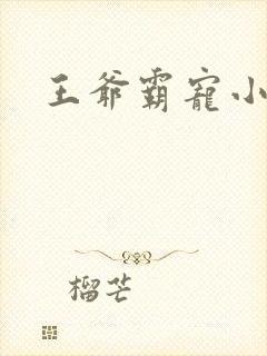 王爷霸宠小甜妻