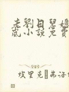 老刘日儿媳妇张岚小说免费阅读