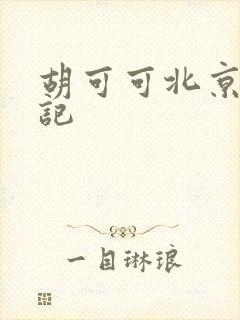 胡可可北京成功记