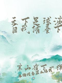 天下足球演员的自我修养下