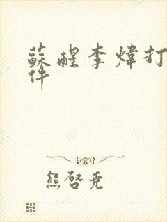 苏醒李炜打架事件