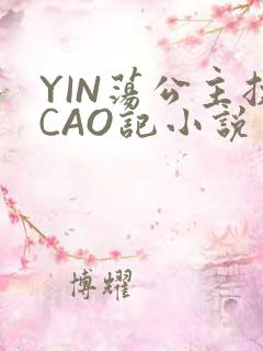 YIN荡公主挨CAO记小说