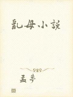 乱母小说