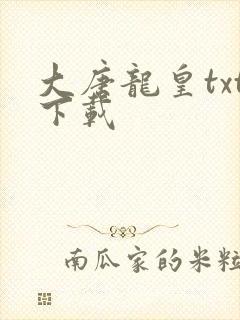 大唐龙皇txt下载