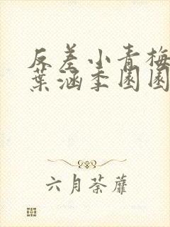 反差小青梅不经叶涵季园园全章