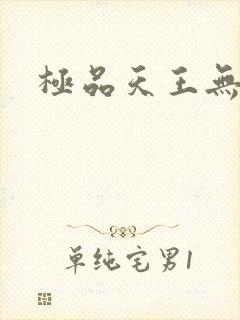极品天王无弹窗