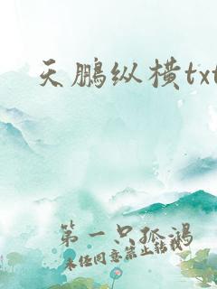 天鹏纵横txt