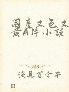 国产又色又爽又黄A片小说