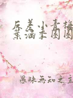 反差小青梅不经叶涵季园园