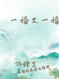 一婚又一婚