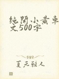 纯开小黄车小短文500字