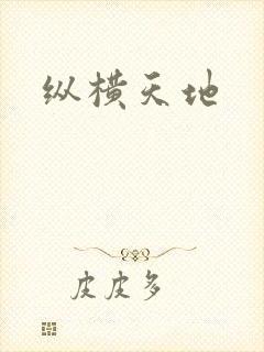 纵横天地