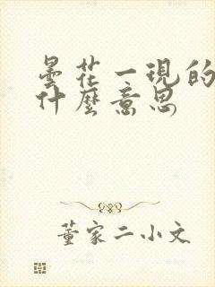 昙花一现的现是什么意思