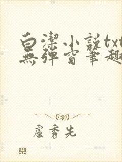 白洁小说txt无弹窗笔趣阁