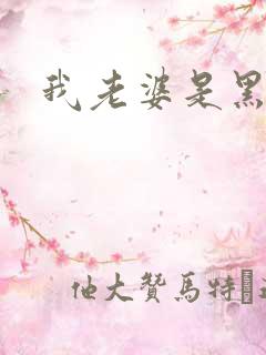 我老婆是黑社会