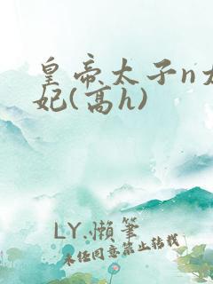 皇帝太子n太子妃(高h)