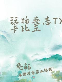 玩物丧志TXT卡比丘