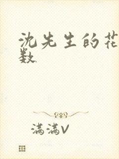 沈先生的花式调数