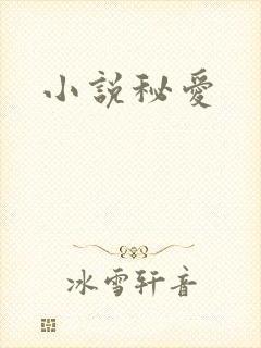 小说秘爱