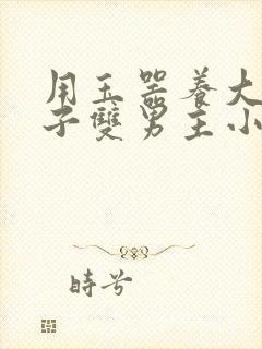 用玉器养大的皇子双男主小说