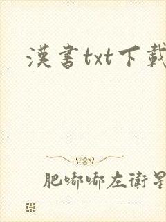 汉书txt下载