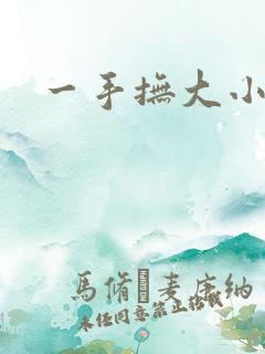 一手抚大小说