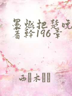 墨燃把楚晚宁按着干196章
