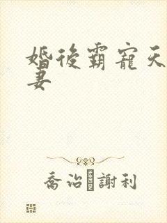 婚后霸宠天价小妻