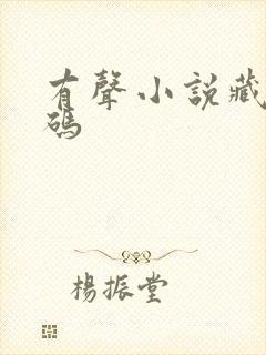 有声小说藏地密码