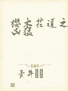 樱木花道之重生凶猛