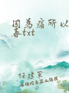 因为痛所以叫青春txt