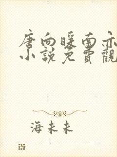 唐向暖南亦琛的小说免费观看