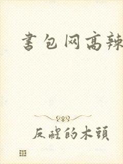 书包网高辣文