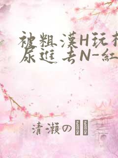 被粗汉H玩松了尿进去N-红-Q