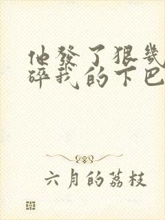 他发了狠几乎捏碎我的下巴