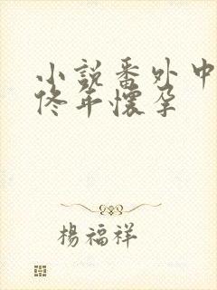 小说番外中结局佟年怀孕