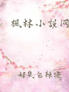 枫林小说网