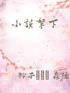 小说拿下