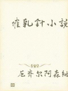 催乳针小说