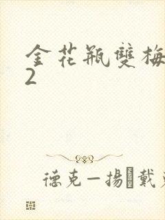 金花瓶双梅花12