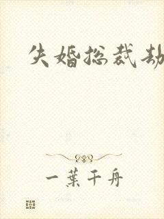 失婚总裁劫前妻