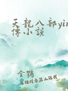 天龙八部yin传小说
