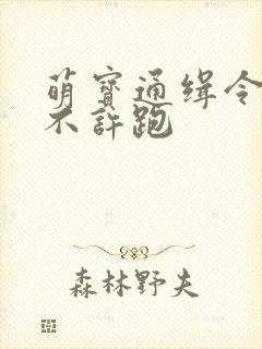 萌宝通缉令妈味不许跑