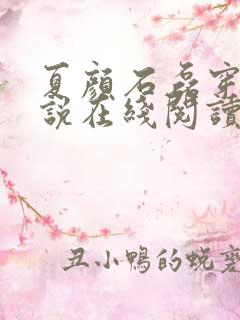 夏颜石磊穿越小说在线阅读