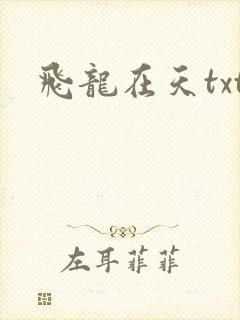 飞龙在天txt