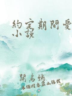 约定期间爱上你小说