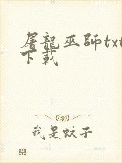 屠龙巫师txt下载